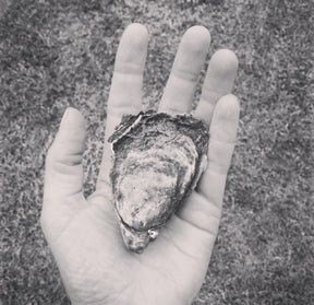 Oyster Fest